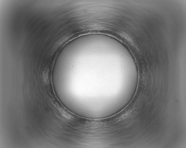 X0000073490873200608140839