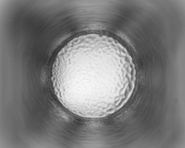 X0000073490874200608140839