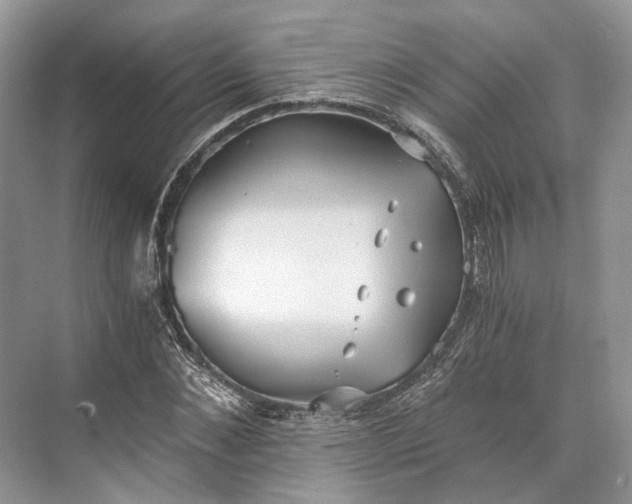 X0000073490876200608140839