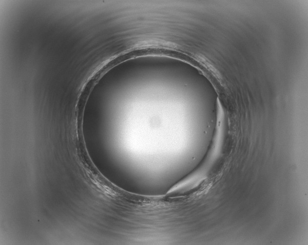 X0000073490877200608140839