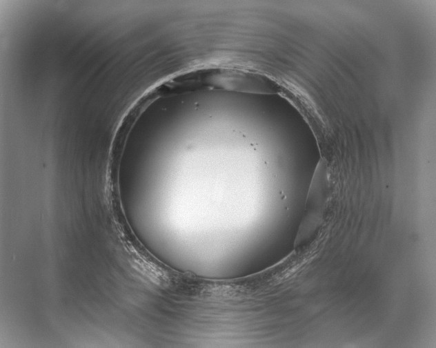 X0000073490880200608140839