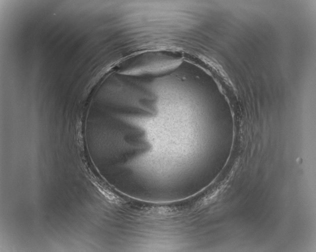 X0000073490881200608140839