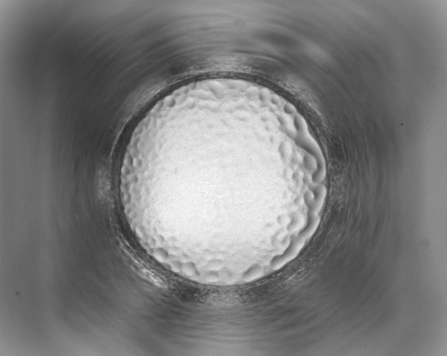 X0000073490882200608140839