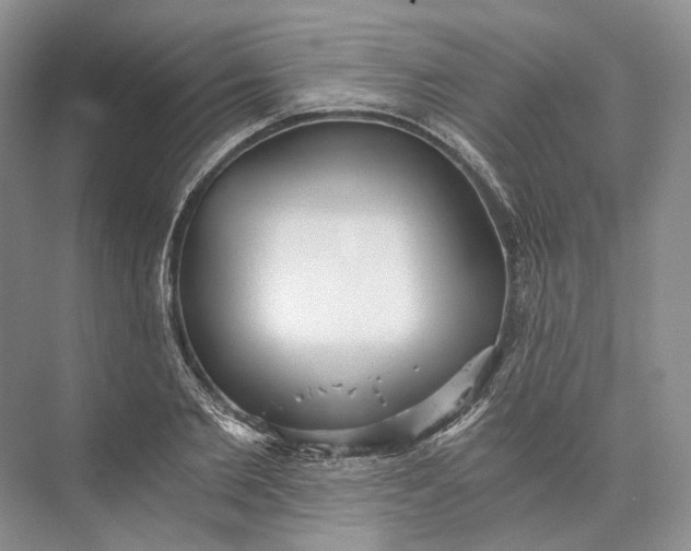 X0000073490885200608140839