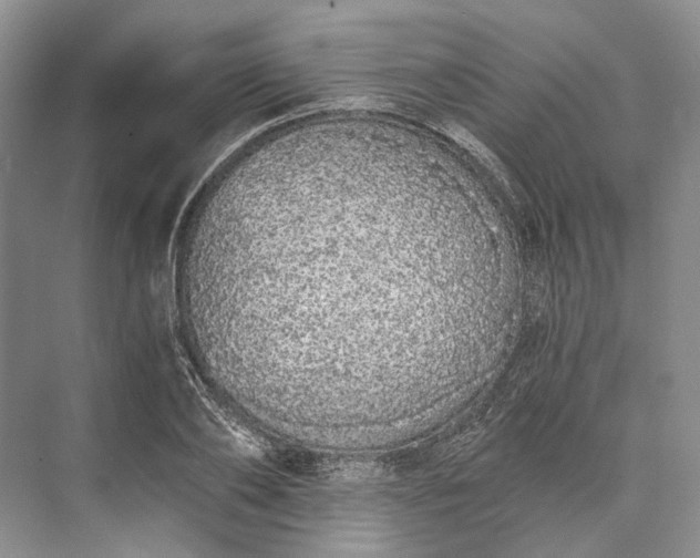 X0000073490886200608140839