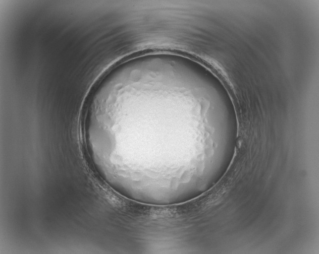 X0000073490887200608140839