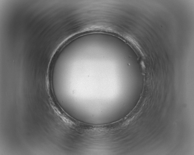 X0000073490888200608140839