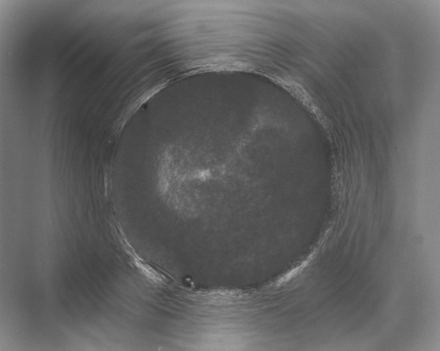 X0000073490889200608140839