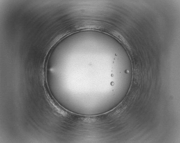 X0000073490890200608140839