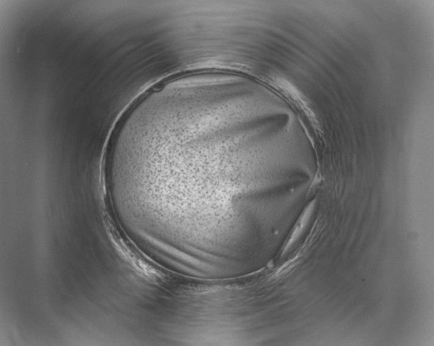 X0000073490892200608140839