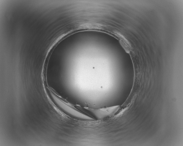 X0000073490893200608140839