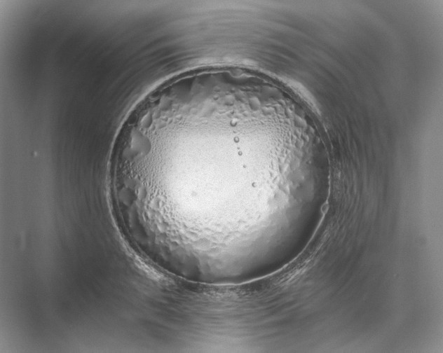 X0000073490895200608140839