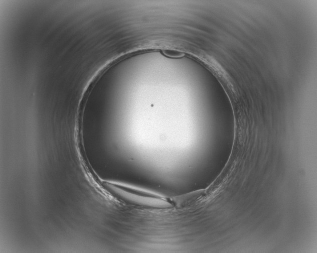 X0000073490896200608140839