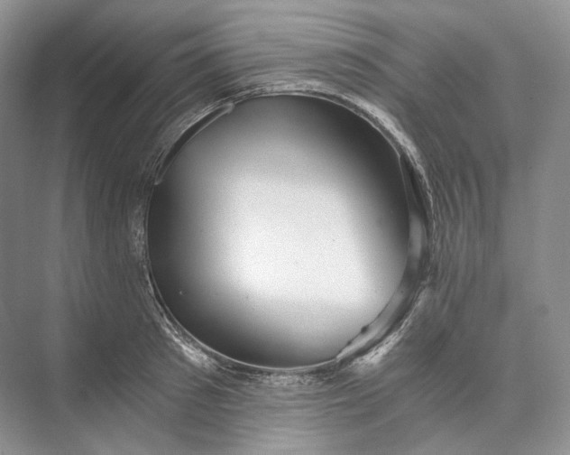 X0000073490897200608140839