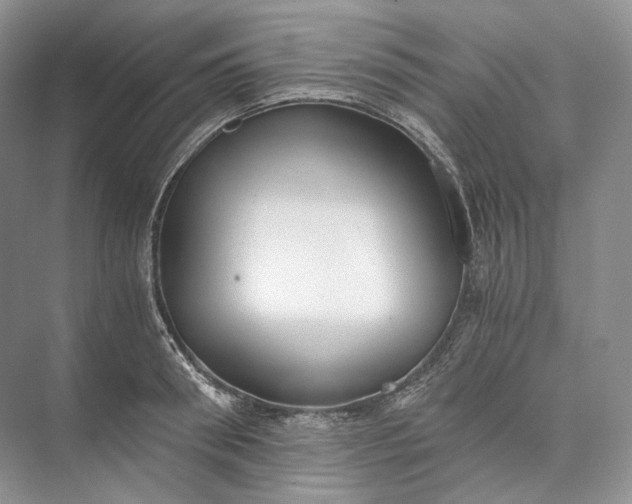 X0000073490898200608140839