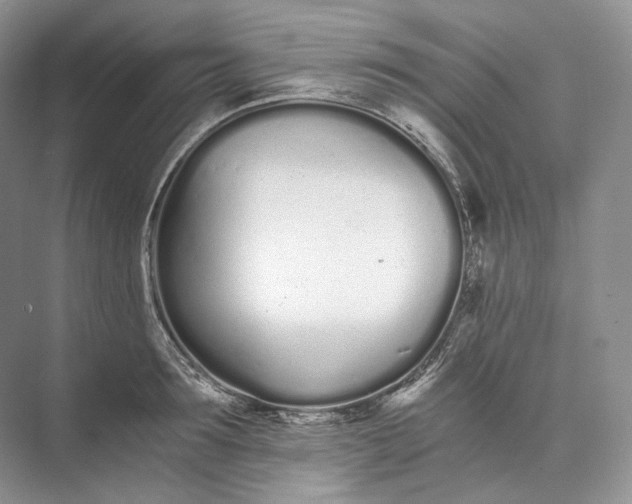 X0000073490899200608140839