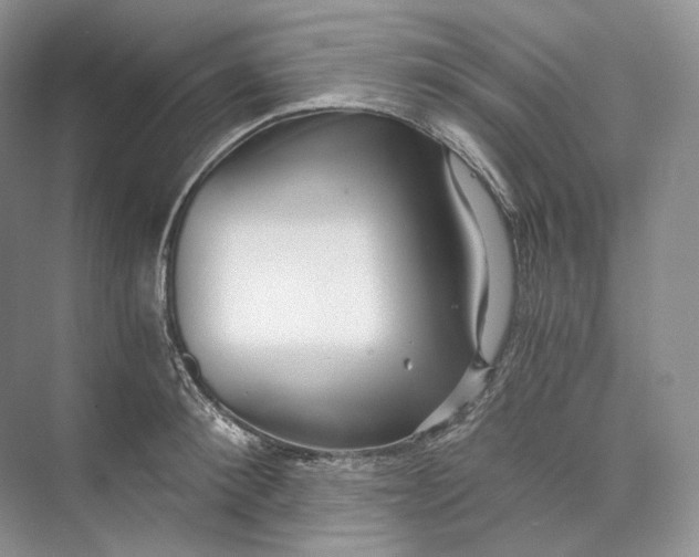 X0000073490900200608140839