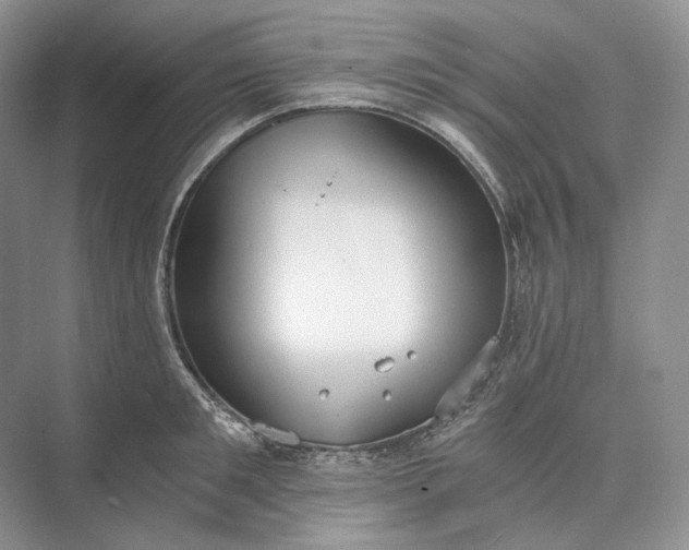 X0000073490901200608140839