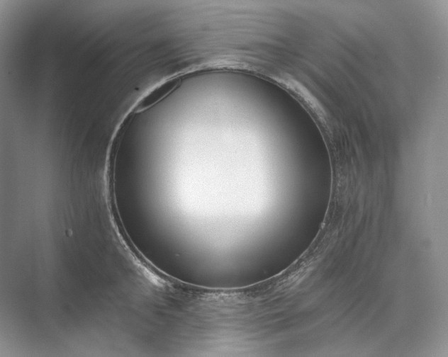 X0000073490902200608140839