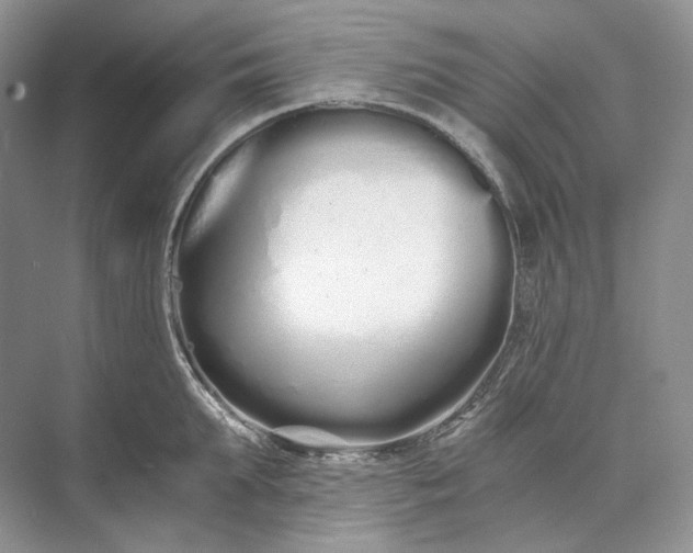 X0000073490903200608140839