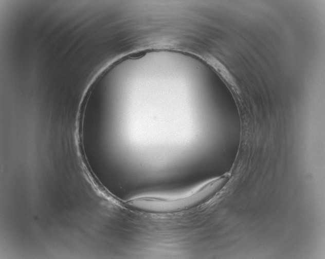 X0000073490904200608140839