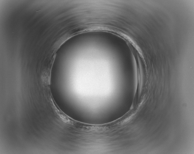 X0000073490905200608140839