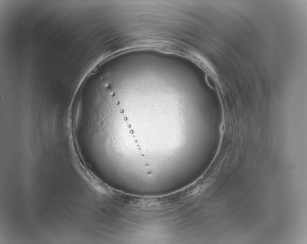 X0000073490907200608140839