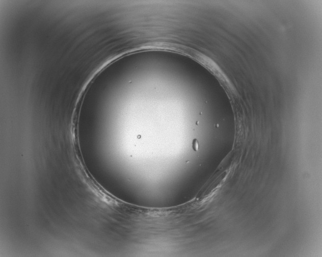 X0000073490908200608140839