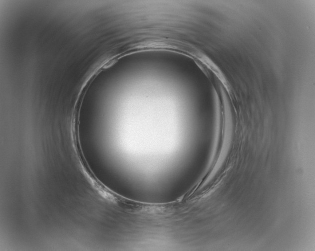 X0000073490909200608140839