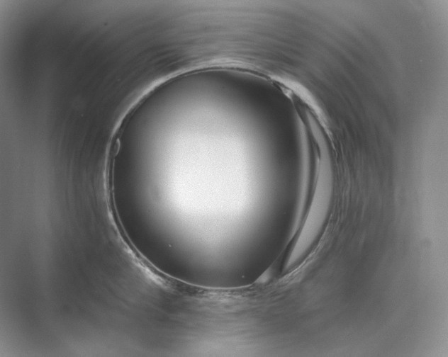 X0000073490910200608140839