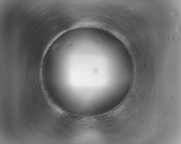 X0000073490912200608140839