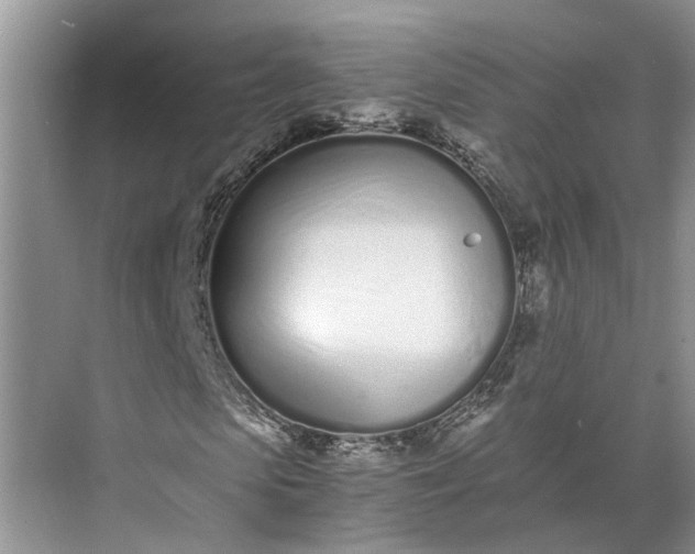 X0000073490913200608140838