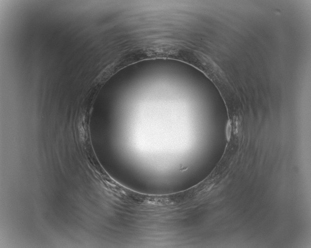 X0000073490915200608140838