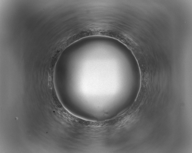 X0000073490917200608140838