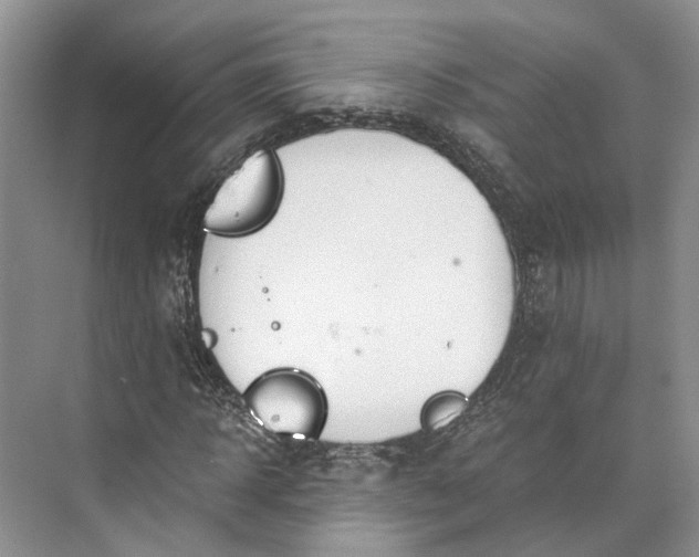 X0000073490918200608140838