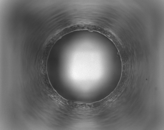 X0000073490919200608140838