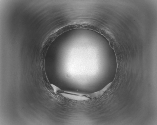 X0000073490920200608140838