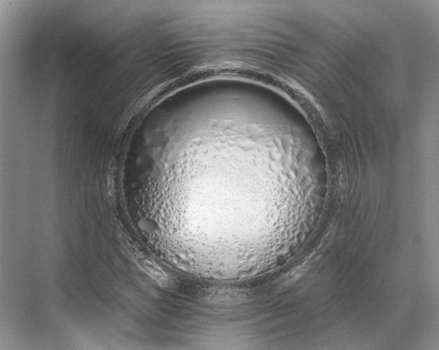 X0000073490921200608140838