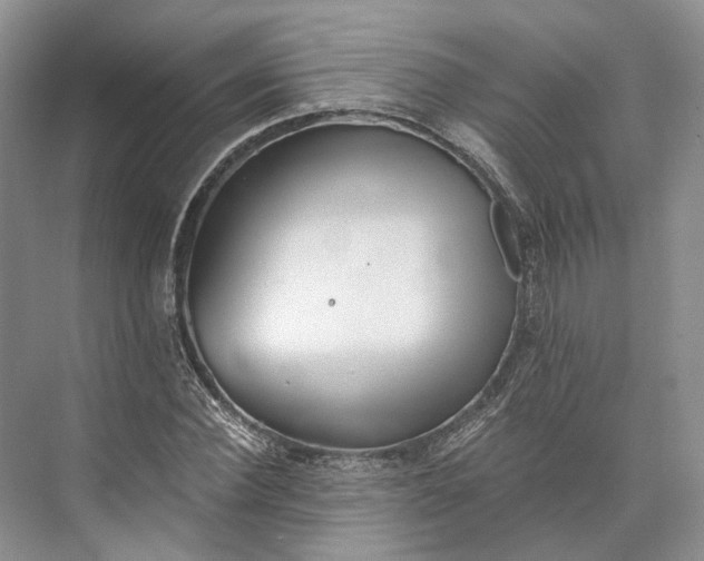 X0000073490924200608140838