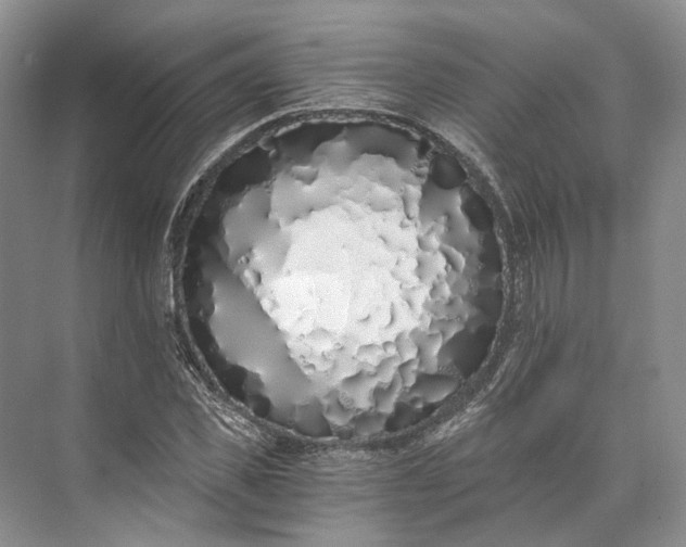 X0000073490925200608140838