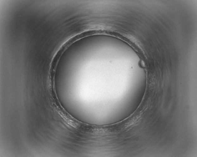 X0000073490927200608140838