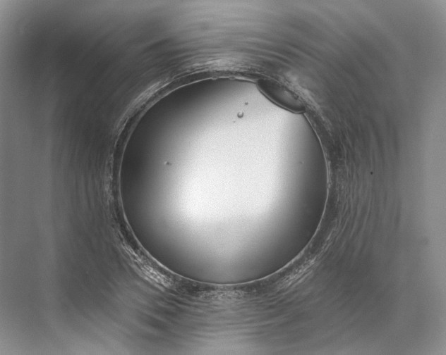 X0000073490930200608140838