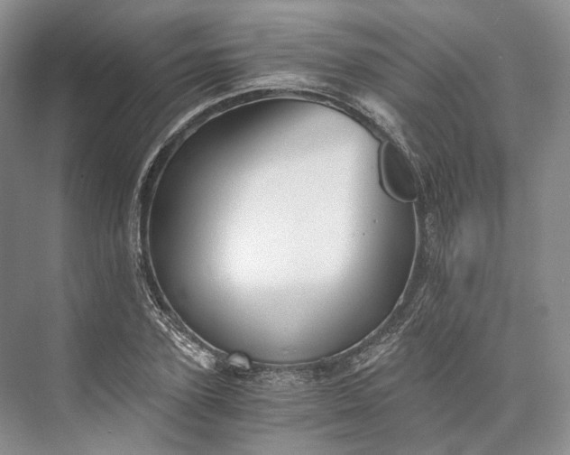 X0000073490931200608140838