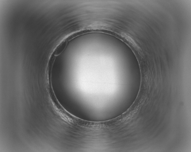 X0000073490934200608140838