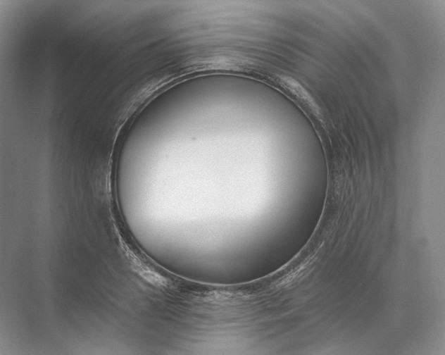 X0000073490938200608140838