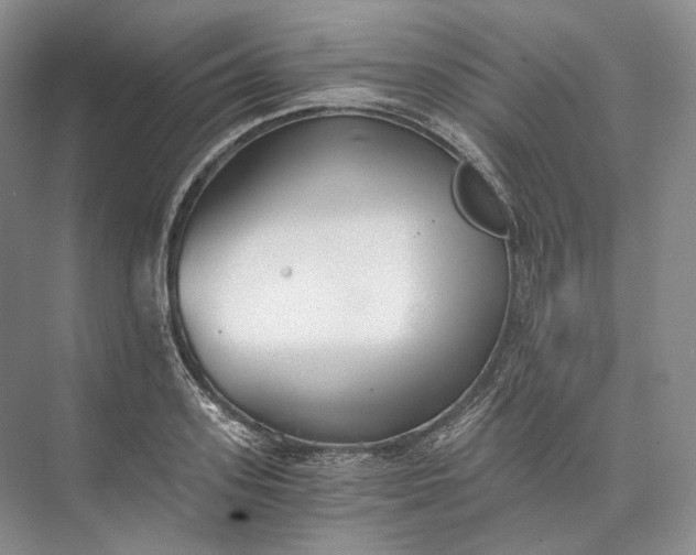 X0000073490939200608140838