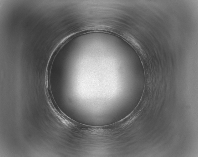 X0000073490940200608140838