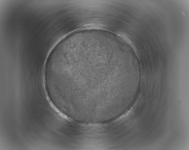 X0000073490941200608140838