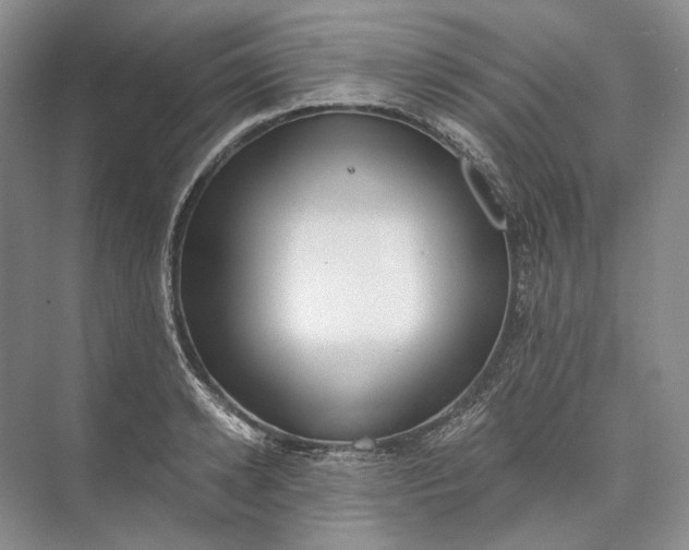 X0000073490942200608140838