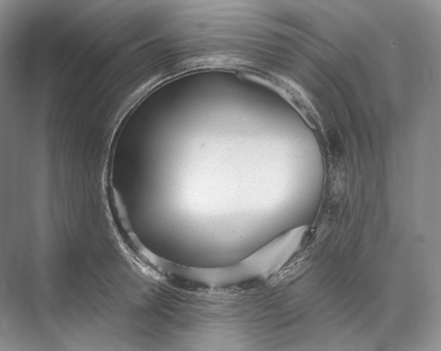 X0000073490946200608140838